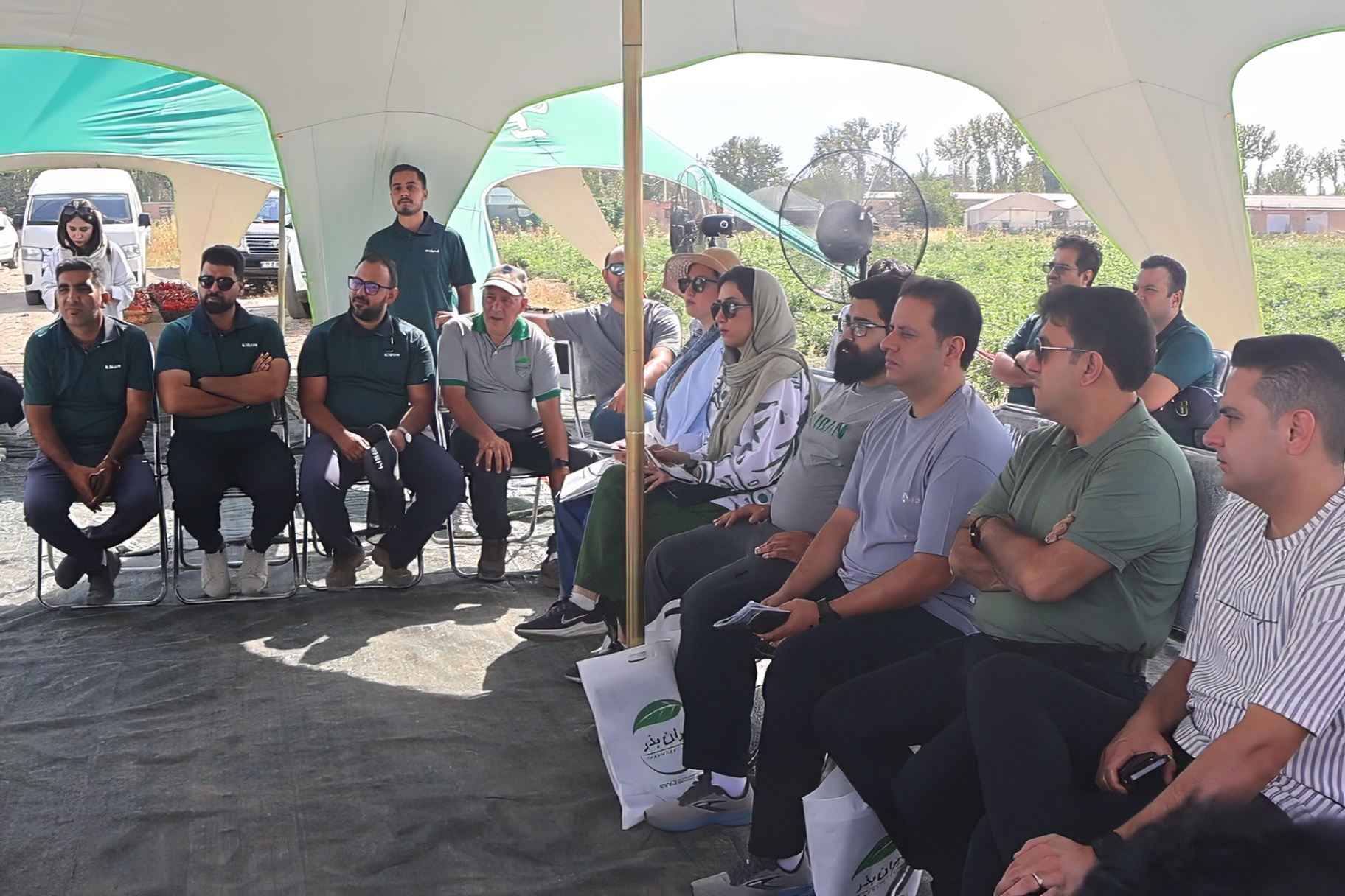 jpeg optimizer MVI 0135