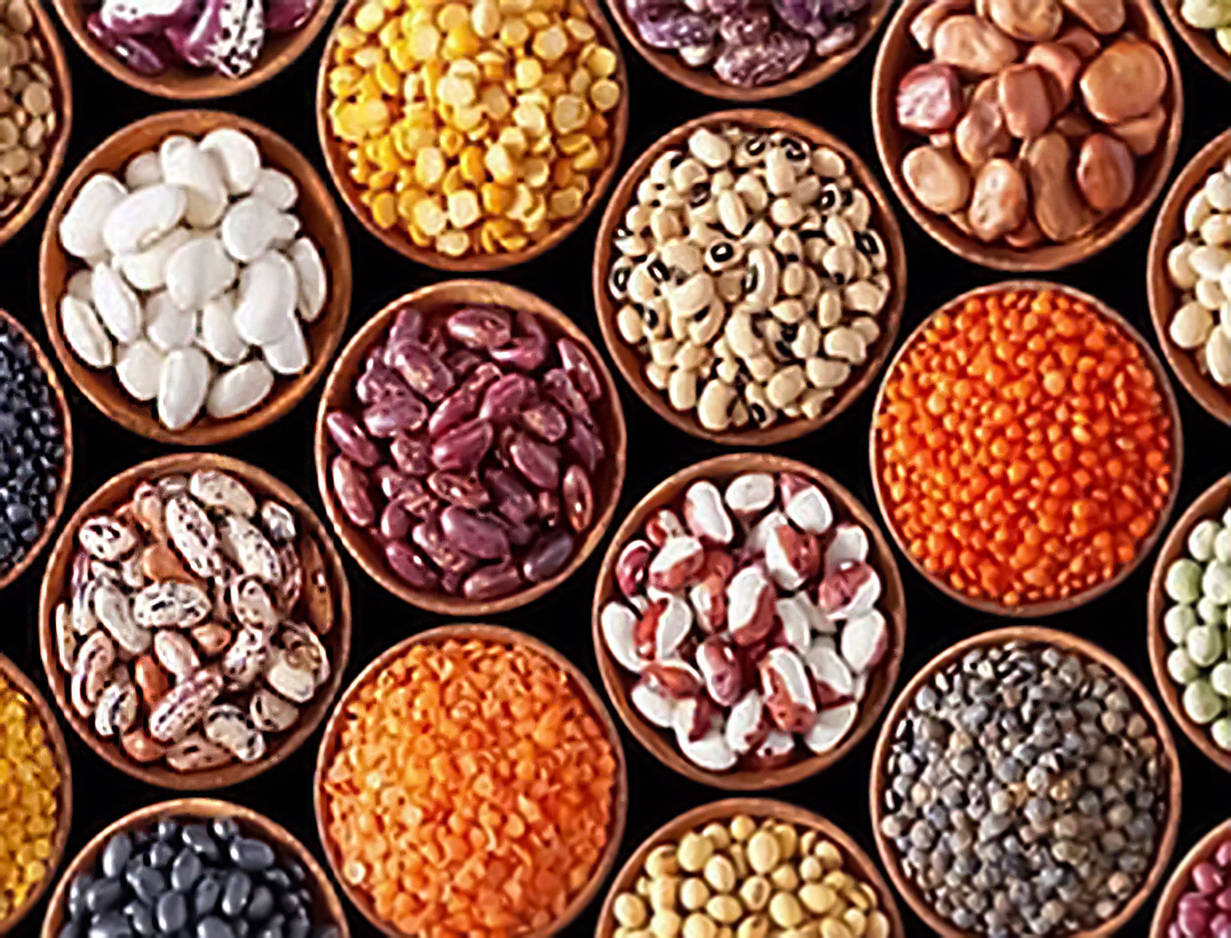 انتخاب بذر مناسب